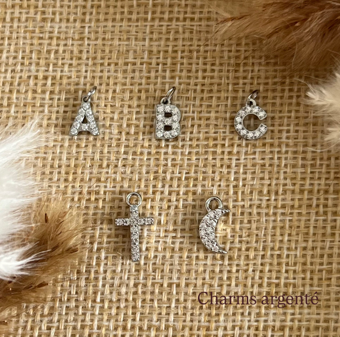 Boucles d'oreilles charms